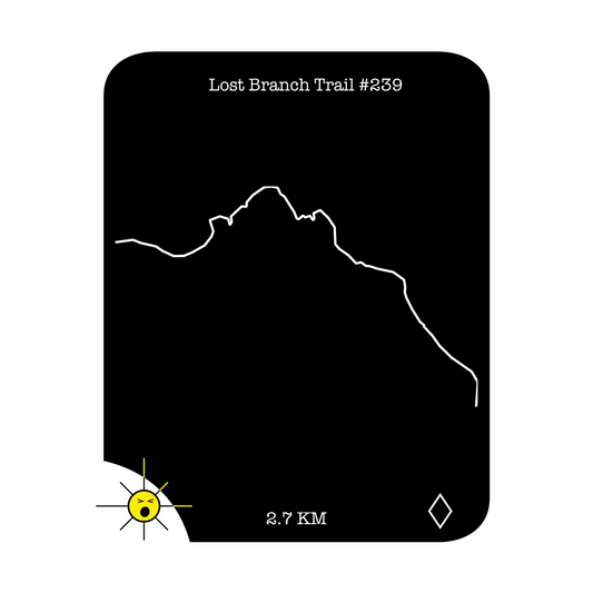 Lost Branch Trail #239