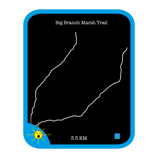 Big Branch Marsh Trail