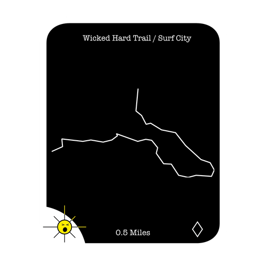 Wicked Hard Trail / Surf City