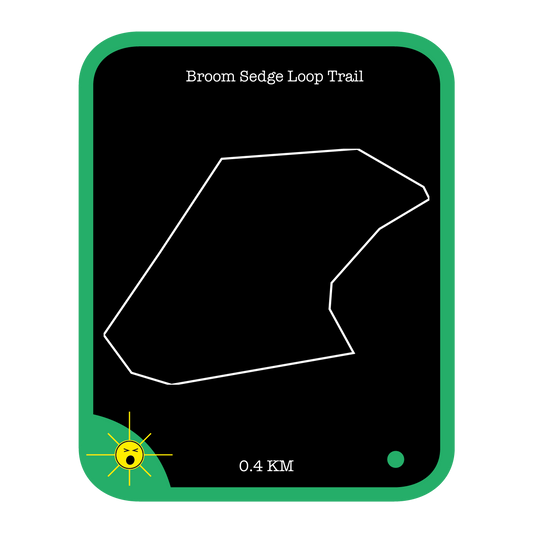 Broom Sedge Loop Trail