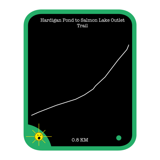 Hardigan Pond to Salmon Lake Outlet Trail