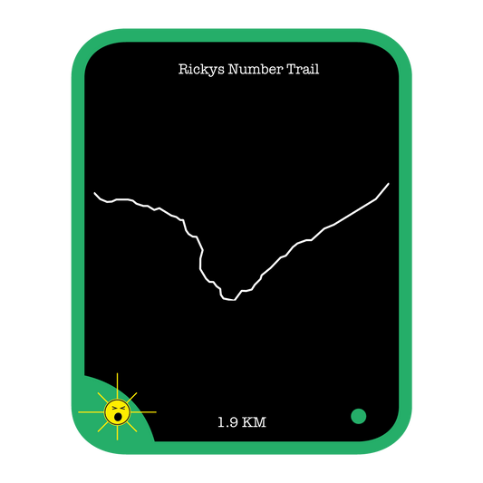 Ricky's Number Trail