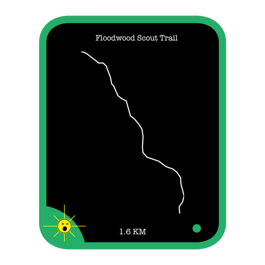 Floodwood Scout Trail