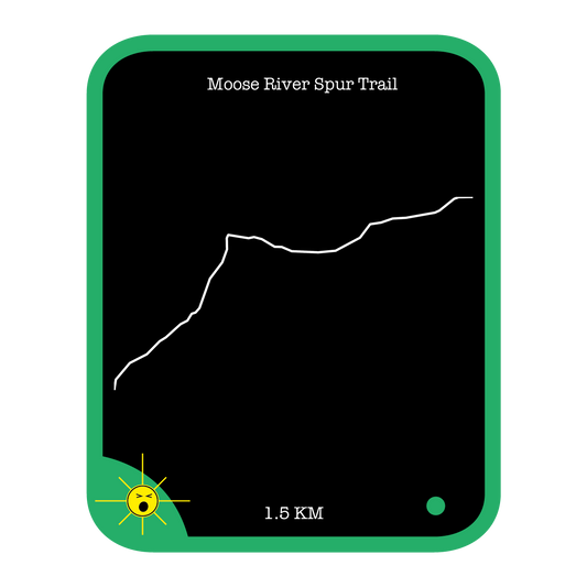 Moose River Spur Trail