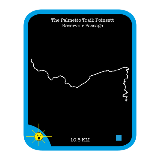 The Palmetto Trail: Poinsett Reservoir Passage