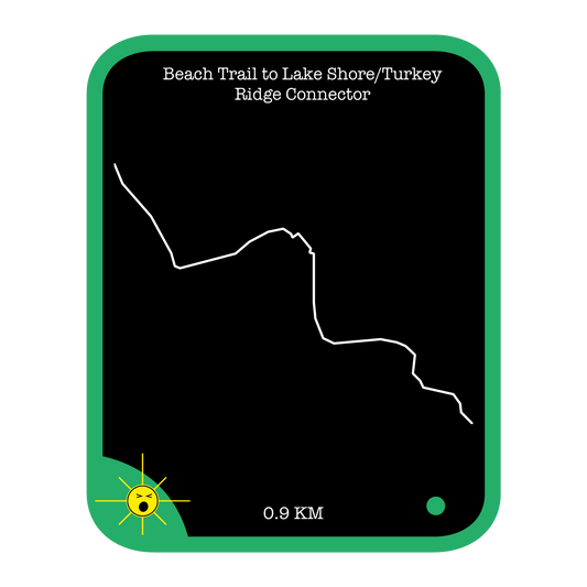 Beach Trail to Lake Shore/Turkey Ridge Connector