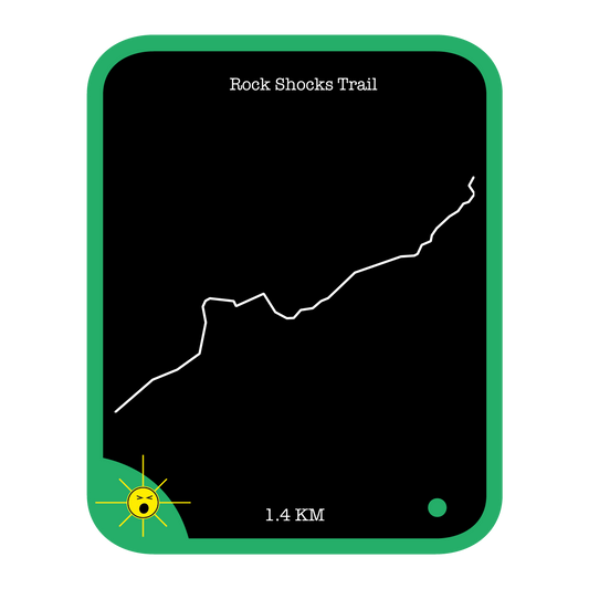 Rock Shocks Trail